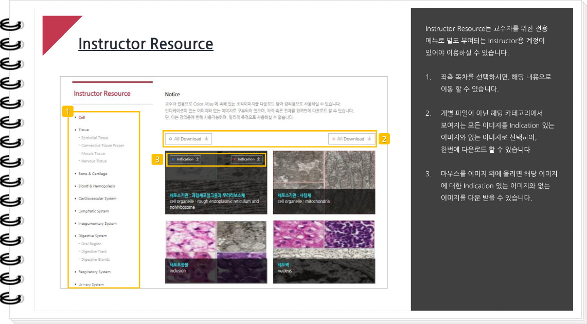e-Histology_User_Guide_2016_페이지_13.jpg